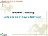 1Unit 2 She didn't have a television.课件PPT