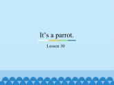 人教精通版（三年级起点）三年级下册Unit5It's a parrot.-Lesson 30_（课件）