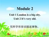 外研版（三起）四下Module 2《Unit 2 It's very old》ppt课件3