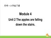 外研版（三起点）六年级下册Module 4 Unit 2教学课件