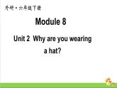 外研版（三起点）六年级下册Module 8 Unit 2教学课件