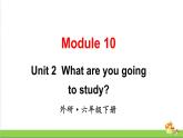 外研版（三起点）六年级下册Module 10 Unit 2教学课件