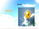 冀教版（三年級起點(diǎn)）Unit2Lesson11How’s the weather today課件PPT