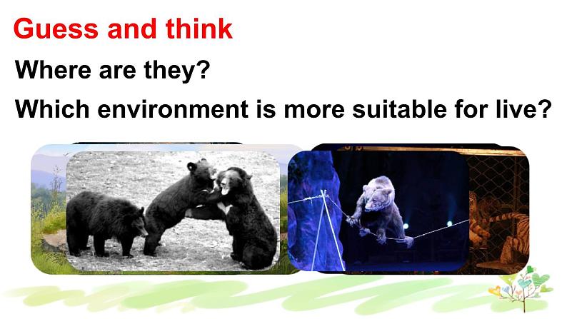 人教精通版英语五年级下册 Unit 5 Fun FactsPPT课件+教案07