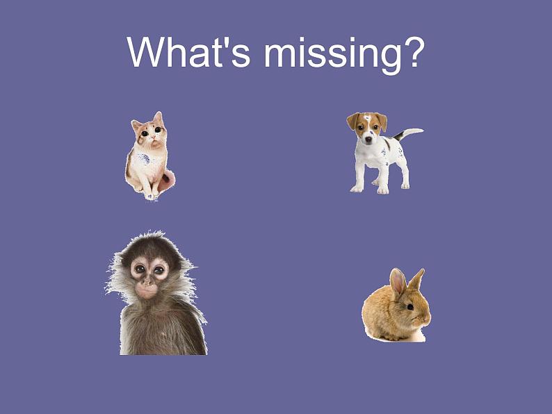 人教精通版（三年级起点）三年级下册Unit 5  It's a parrot.Lesson 29（课件）06