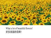 六年級(jí)英語下冊(cè)課件-Module 9 Unit 2 Wishing you happiness every day.（2）-外研版