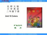 北师大【一起】小学英语二下册《Unit 10 Colors》PPT课件 (3)