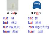 六年级英语下册课件-Module 8 Unit 1 Why do you have cups on your heads（3）-外研版