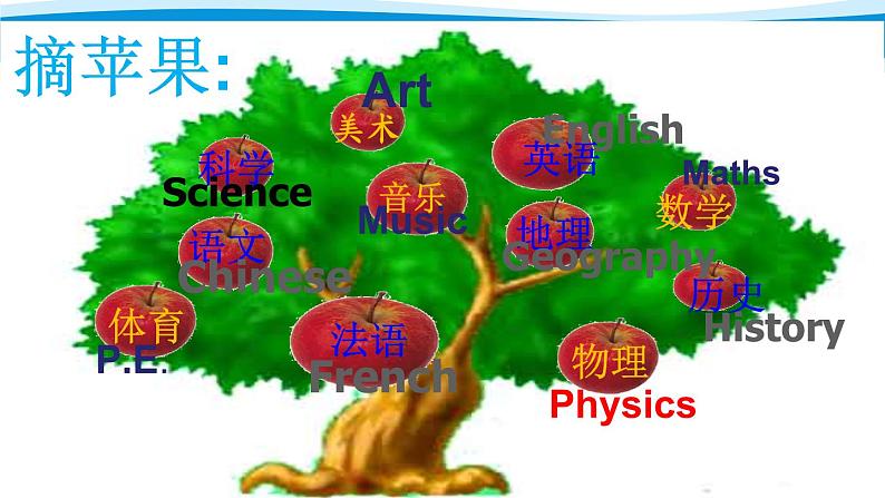 外研版（三年级起点）六年级下册Module10 Unit2 What are you going to study？ 课件02