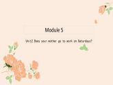 外研版（三起）Module5 Unit2 Does your mother go to work on Saturdays.PPT+动画视频