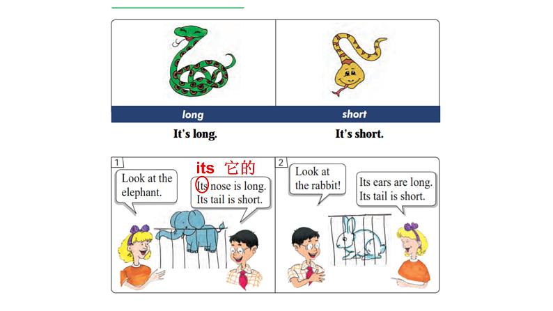 冀教版三下Lesson9课件PPT04