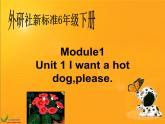 M1Unit 1 I want a hot dog,please. (1)课件PPT