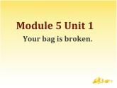 外研版（一年级起点）五年级下册module5unit1Your bag is broken（课件）