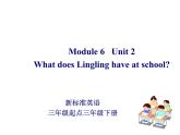 三年级英语下册课件-Module 6 Unit 2 What does Lingling have at school164-外研版（三起）