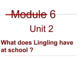 三年级英语下册课件-Module 6 Unit 2 What does Lingling have at school20-外研版（三起）