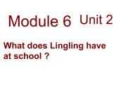 三年级英语下册课件-Module 6 Unit 2 What does Lingling have at school197-外研版（三起）