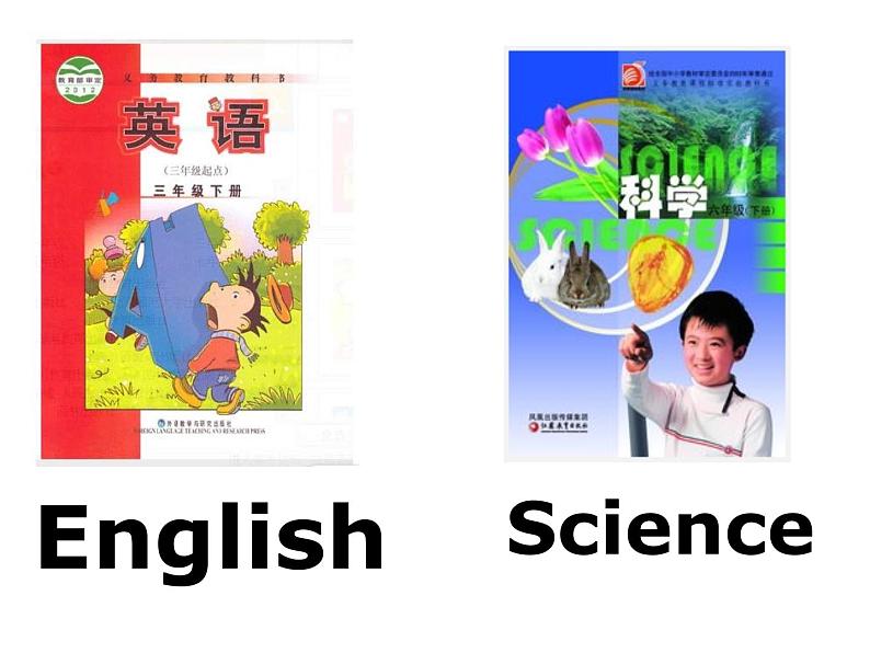 三年级英语下册课件-Module 6 Unit 2 What does Lingling have at school160-外研版（三起）第4页