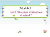 三年级英语下册课件-Module 6 Unit 2 What does Lingling have at school196-外研版（三起）