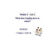 三年级英语下册课件-Module 6 Unit 2 What does Lingling have at school329-外研版（三起）