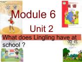 三年级英语下册课件-Module 6 Unit 2 What does Lingling have at school-外研版（三起）