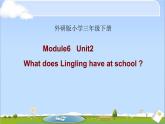 三年级英语下册课件-Module 6 Unit 2 What does Lingling have at school-外研版（三起）