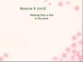 三年级英语下册课件-Module 8 Unit 2 Daming flies a kite in the park-外研版（三起）