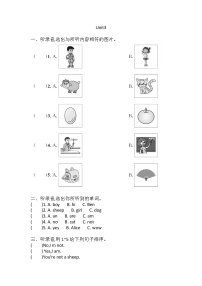 沪教版Unit 3 Are you Kitty?综合训练题