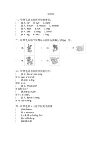 沪教版三年级上册Module 4 The world around usUnit 11 Small animals课时训练