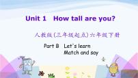 人教版 (PEP)六年级下册Unit 1 How tall are you? Part B教课内容课件ppt