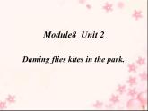 三年级英语下册课件-Module 8 Unit 2 Daming flies a kite in the park65-外研版（三起）