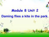三年级英语下册课件-Module 8 Unit 2 Daming flies a kite in the park95-外研版（三起）