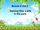 三年级英语下册课件-Module 8 Unit 2 Daming flies a kite in the park92-外研版（三起）