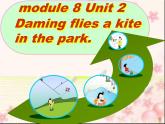 三年级英语下册课件-Module 8 Unit 2 Daming flies a kite in the park101-外研版（三起）