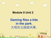 三年级英语下册课件-Module 8 Unit 2 Daming flies a kite in the park147-外研版（三起）