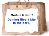 三年级英语下册课件-Module 8 Unit 2 Daming flies a kite in the park106-外研版（三起）