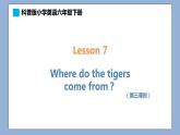 小學英語六年級下冊—Lesson 7 Where do the tigers come from？（第3課時） 課件（科普版）