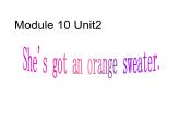 三年级英语下册课件-Module 10 Unit 2 She's got an orange sweater34-外研版（三起）