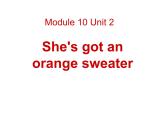 三年级英语下册课件-Module 10 Unit 2 She's got an orange sweater13-外研版（三起）