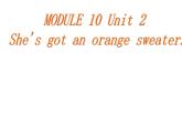 三年级英语下册课件-Module 10 Unit 2 She's got an orange sweater16-外研版（三起）