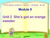 三年级英语下册课件-Module 10 Unit 2 She's got an orange sweater10-外研版（三起）