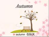 三年级英语下册课件-Module 7 Unit 2 It's warm today443-外研版（三起）