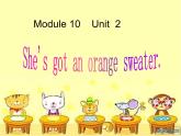 三年级英语下册课件-Module 10 Unit 2 She's got an orange sweater11-外研版（三起）