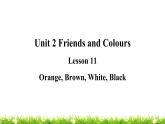 翼教版三上英语教学课件Lesson 11 Orange, Brown, White, Black
