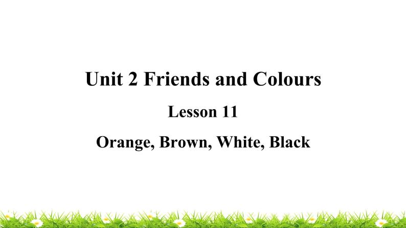 翼教版三上英语教学课件Lesson 11 Orange, Brown, White, Black01