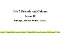 三年级上册Lesson 11 Orange, Brown, White, Black教学ppt课件