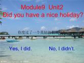 四年级英语下册课件-Module 9 Unit 2 Did you have a nice holiday-外研版（三起）