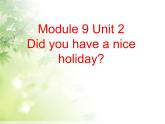 四年级英语下册课件-Module 9 Unit 2 Did you have a nice holiday-外研版（三起）