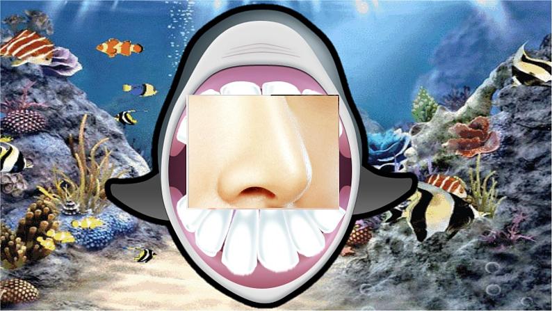 人教版英语三年级上册Unit3 Look at me Part A 第三课时课件PPT+教案+练习+音频+视频08