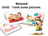 四年級(jí)英語(yǔ)下冊(cè)課件-Module 8 Unit 2 I took some pictures14-外研版（三起）