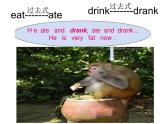 四年級(jí)英語(yǔ)下冊(cè)課件-Module 8 Unit 2 I took some pictures14-外研版（三起）